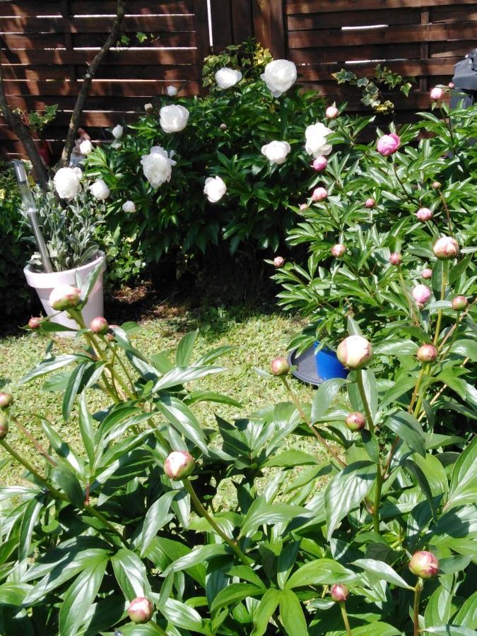 Ferienwohnung Mit Kleinem Garten Sonnenbuhl Luaran gambar
