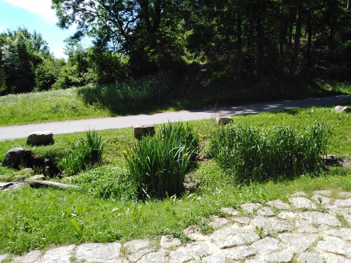 Ferienwohnung Mit Kleinem Garten Sonnenbuhl Luaran gambar