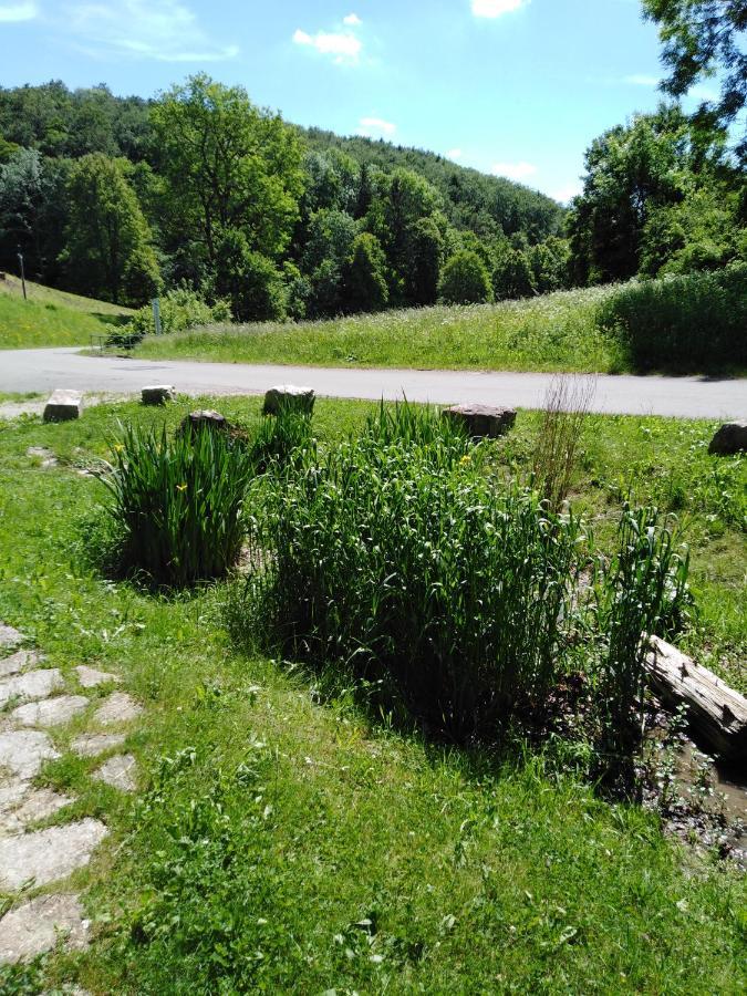 Ferienwohnung Mit Kleinem Garten Sonnenbuhl Luaran gambar