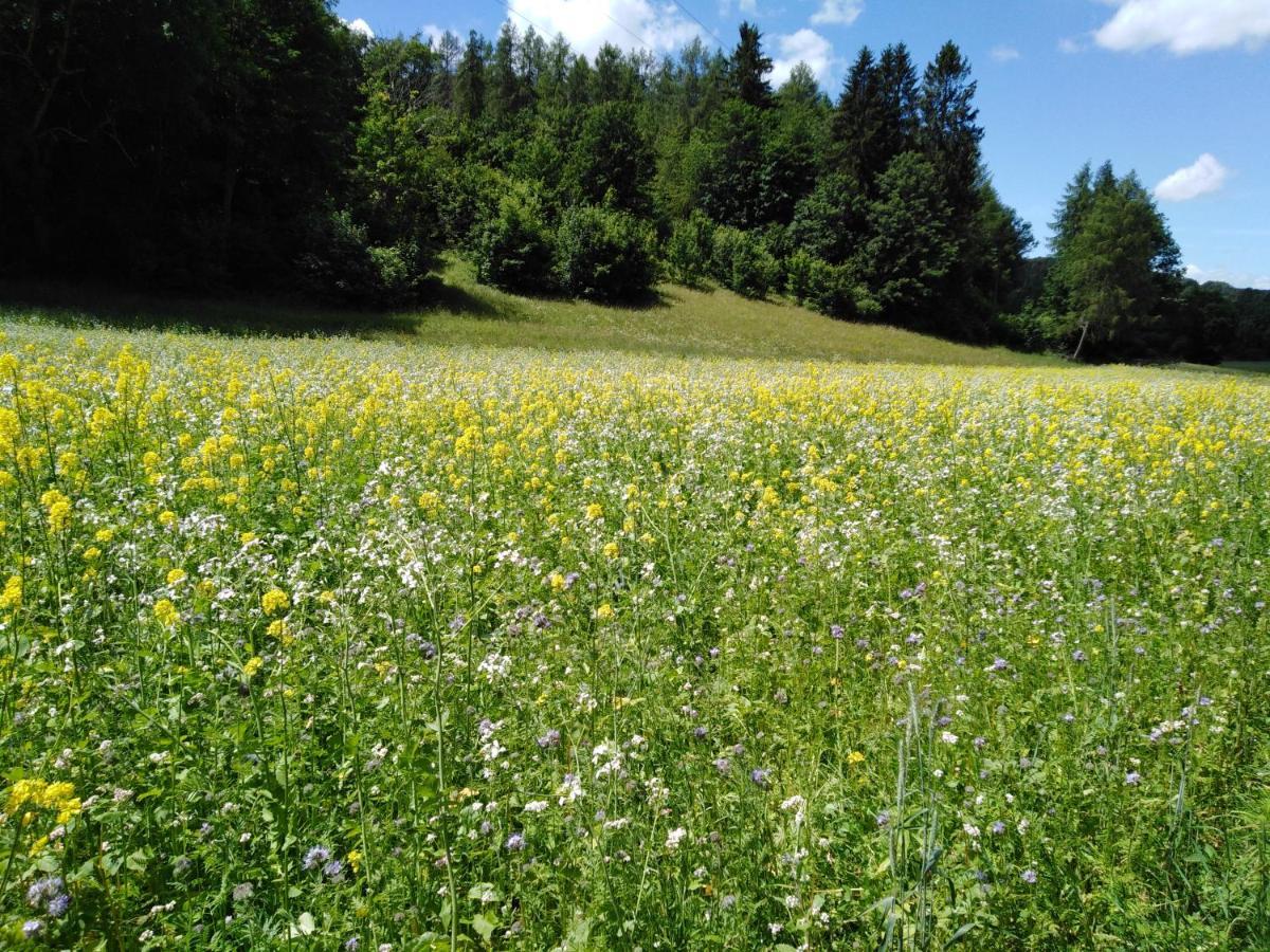 Ferienwohnung Mit Kleinem Garten Sonnenbuhl Luaran gambar